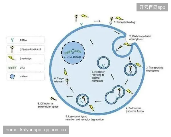 浙江队利用压迫后迅速回收形成反扑机会，提升比赛策略的新篇章